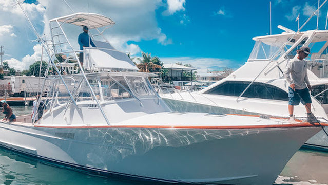 Sea Dog Fishing Charters