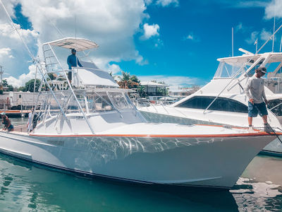 Sea Dog Fishing Charters