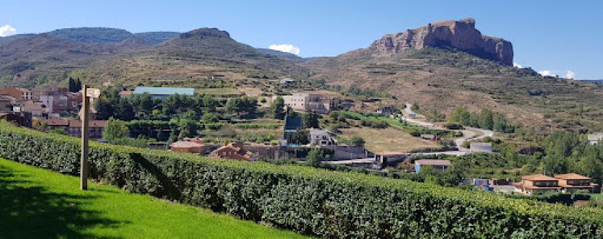 Poza viguera