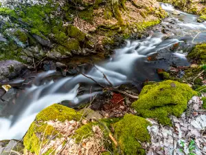 Lonauer Wasserfall