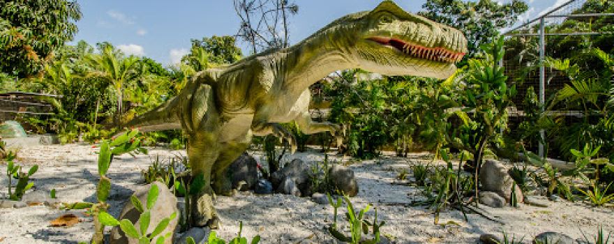 Dino Park