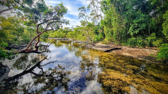 North Stradbroke Island