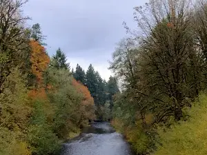 Salmonberry Park & Campground