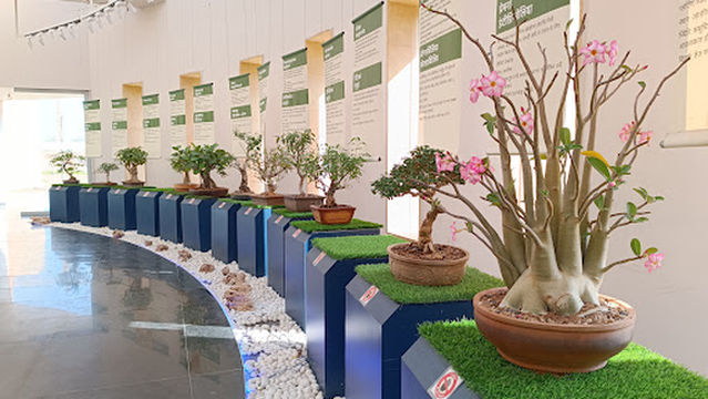 Regional Science Centre