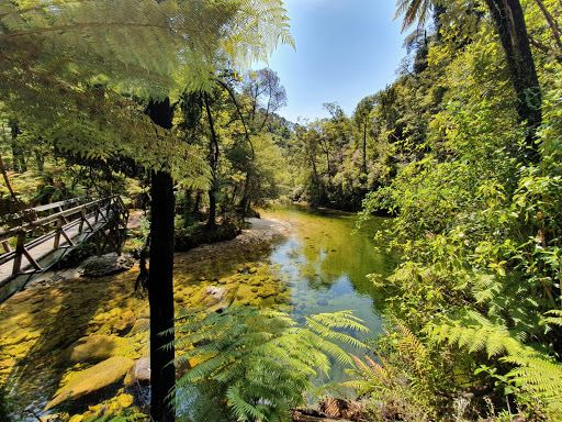 Cleopatra's Pool