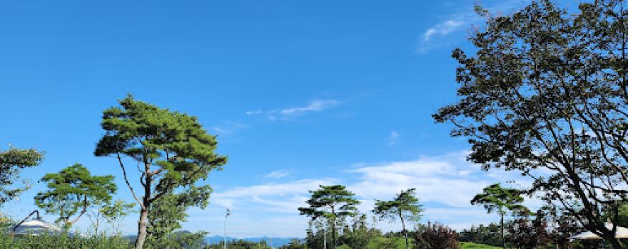 Golfzon County cheongtong