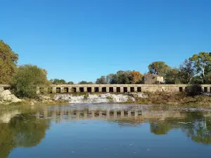 Vidourle