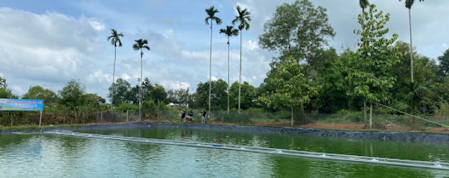 Hồ Câu Cá Giải Trí Trung Việt