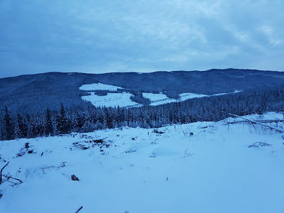 Hinton Centre Campground