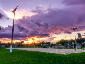 Square Evandro Antonio Bazzo