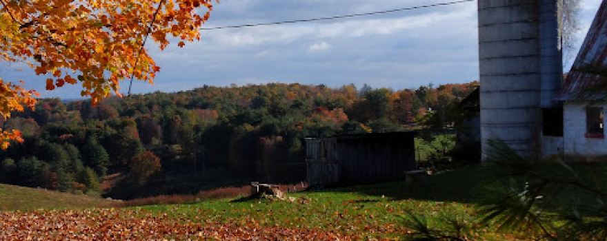 Cliffview Campground - New River Trail State Park