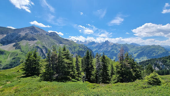 Reichenbach im Kandertal