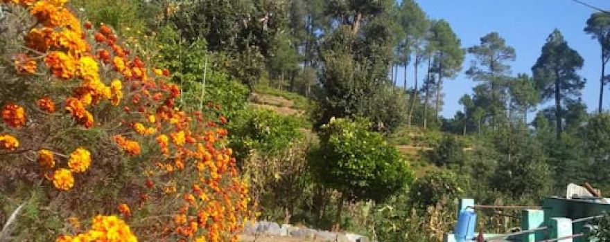 Dream village garden kausani