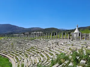 The ancient Theater of Messene
