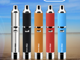 SkyBlue Wholesale