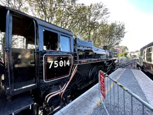 Dartmouth Steam Railway - (Paignton, Station)
