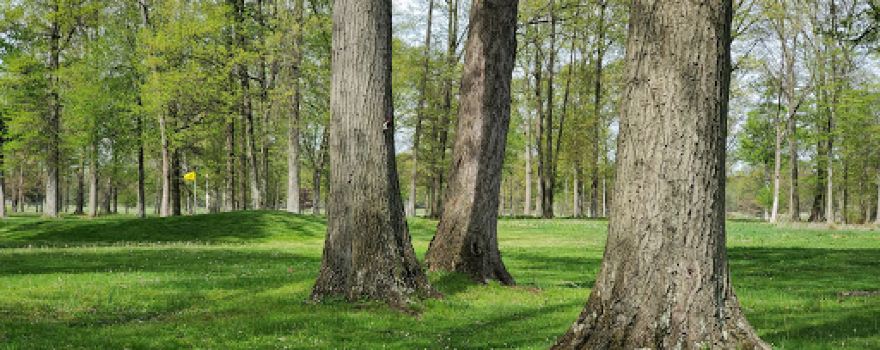 Old Avalon Golf Course
