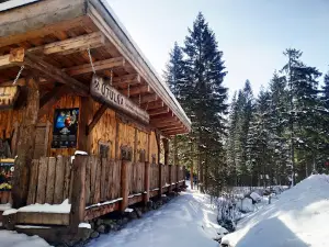 Medvedia štôlňa