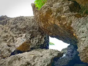 Toko taman ayu nganteb (TAN)