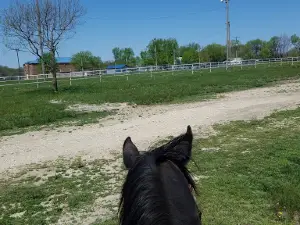 Circleville Rodeo Arena