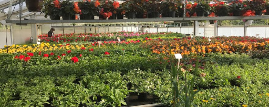 Hartmut Schreier Gartenbautechnik