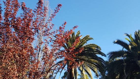 Quintil Valparaíso Park