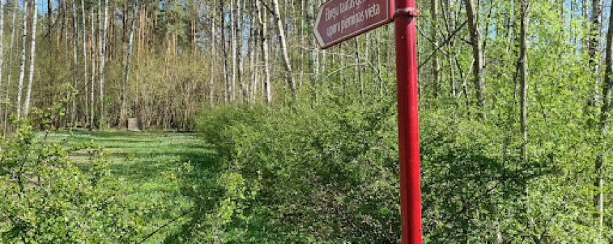 Jelgava, the Jelgava Forest, Memorial Site of 1941 Jewish Victims, Latvia