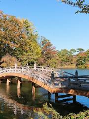 Senzokuike Park
