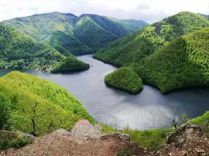 Rezervația de Bujori de Stepă