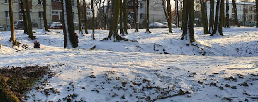 Pablo Picasso Park