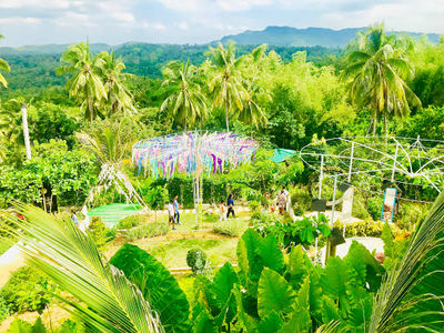 Sundaze Farm