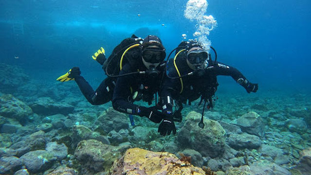 Dive Community La Palma - Los Cancajos
