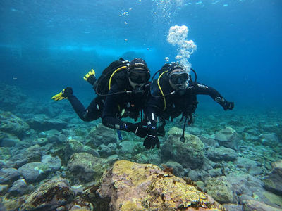Dive Community La Palma - Los Cancajos