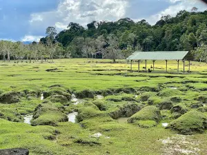 Taman Batang Duri Taman Mini Zoo Temburong