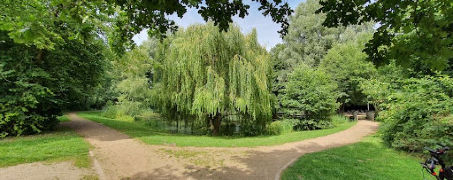 Dorfteich