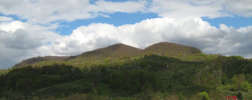 Capul Dealului