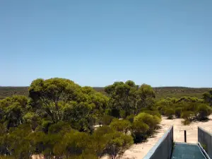 Big Billy Campground