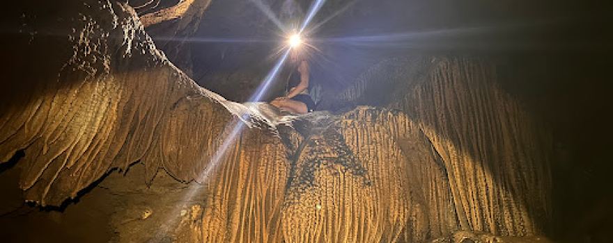 Loup cave