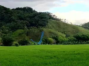 Saxônia