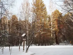 Vityaz'
