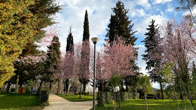 Kompleksi Aquadrom Tirana