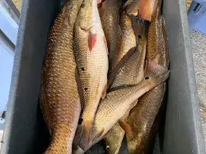 Reel Tite Fishing Guide Service LLC