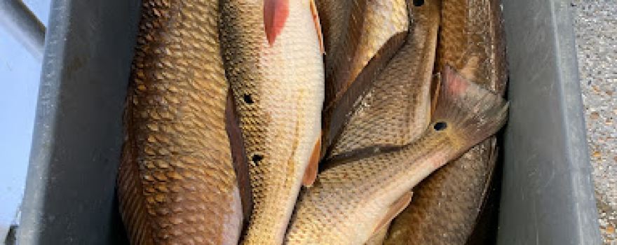 Reel Tite Fishing Guide Service LLC