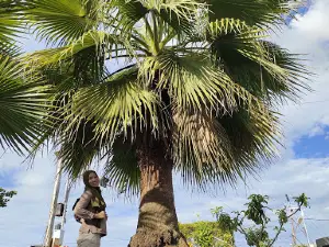 Tugu Cinta Damai