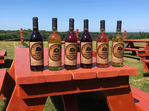 Stone Tree Farm & Cidery