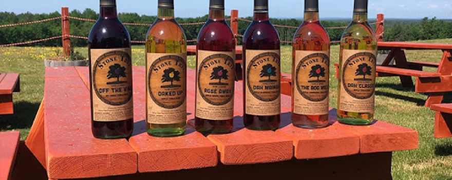 Stone Tree Farm & Cidery