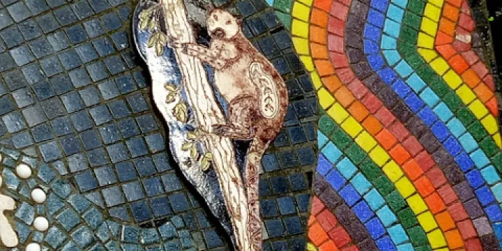 Malanda Falls Conservation Park