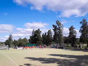 Polideportivo Alma Juniors