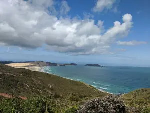 Twilight Track, Te Werahi Loop Track