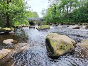 Glentrool Visitor Centre